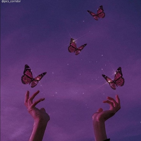 Meet your Posher, Adore - Picture 1 of 1